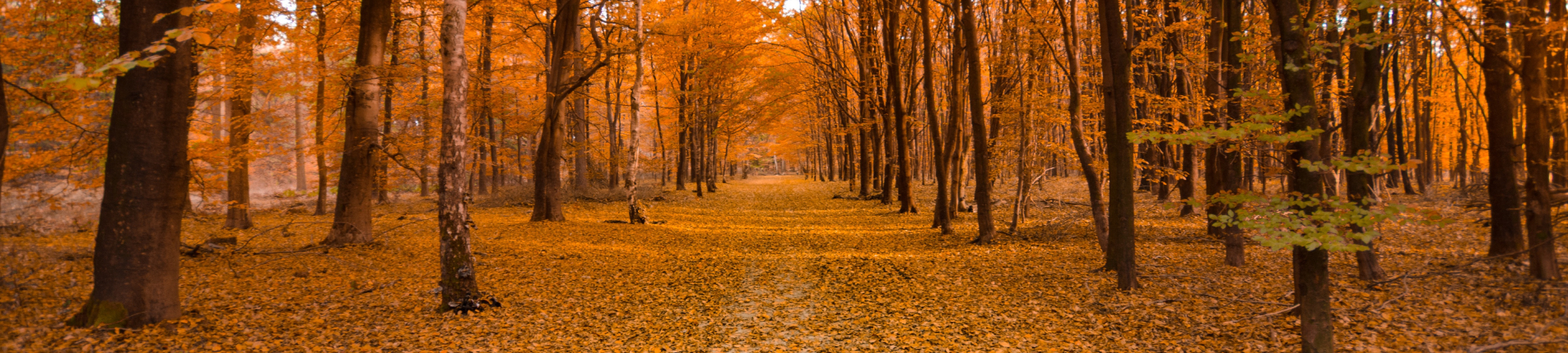 Tudor Environmental - Preferred supplier for the Grounds Maintenance Industry