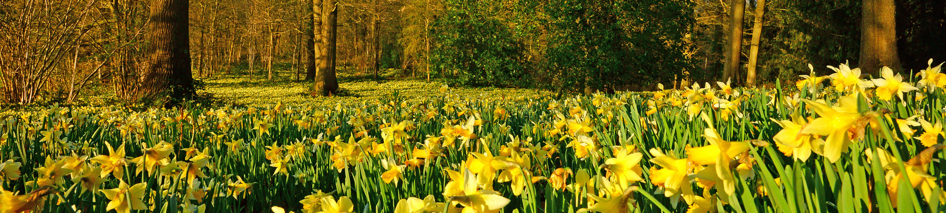 Tudor Environmental - Preferred Supplier for the Grounds Maintenance Industry